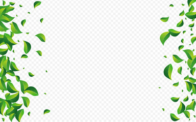 Lime Greens Realistic Vector Transparent