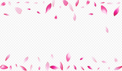 Purple Blooming Vector Transparent Background.