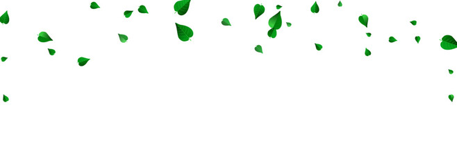 Olive Greens Realistic Vector Panoramic White