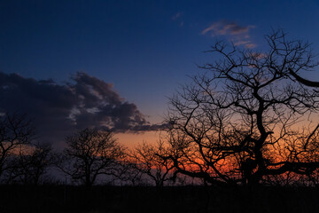 Fototapeta na wymiar Sunset over the Etosha National Park in Namibia.