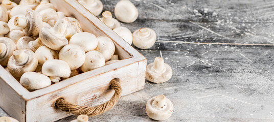Fresh mushrooms on the tray. 