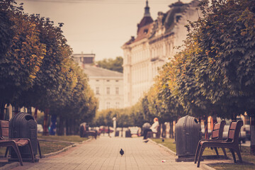 Fototapete bei efototapeten.de bestellen   