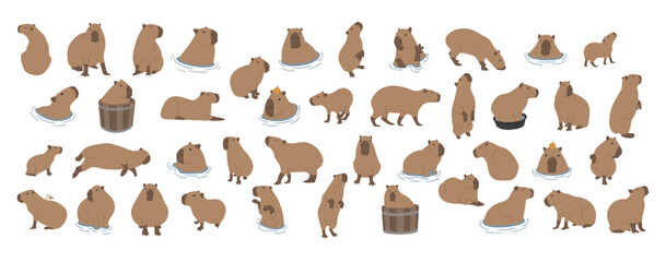 capybara collection 1 cute on a white background, vector illustration. capybara is the largest rodent. - obrazy, fototapety, plakaty