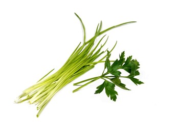 Schnittlauch und Petersilie