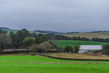 Fototapeta na wymiar Landscape with a Farmland