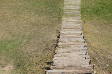 Walkway in the park on green grass