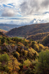 Fototapeta na wymiar Mountain Landscape with Fall Color Trees. Sunny autumn day. France, Europe. Nature Background