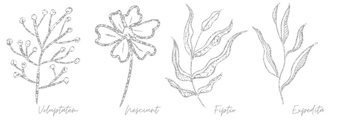 Silver outline doodle art botanical