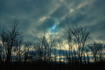 Obraz premium On a Winter morning in Wisconsin, the sun appears as a small white dot as it penetrates an opening in an otherwise cloudy sky about a forest of silhouetted bare trees.