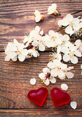 Valentines day concept. Symbol of love red hearts from marmalade and flowering branch with white delicate flowers  on wooden surface. 