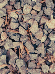 Close-up of ground cover composed of cobble stones 