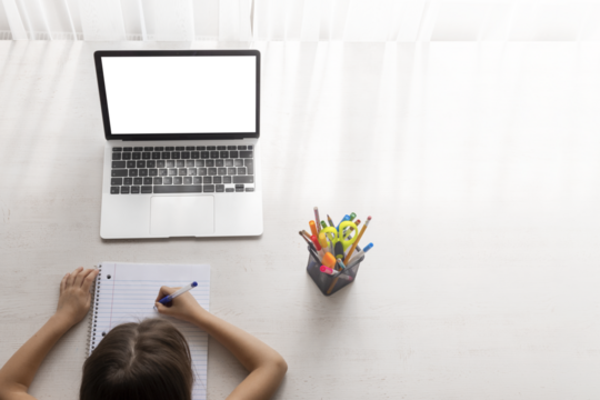 school at home through online homeschooling. the child is sitting at the computer