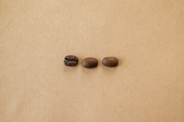 並んだコーヒー豆　ティピカ