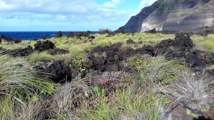 Falaise basaltique sur l'océan atlantique au ponta do Escalvado sur l'île de Sao Miguel Archipel des Açores, Portugal. Europe © CHRISTINE