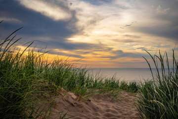 sand dune sunset © Heidi