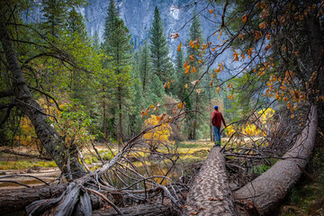 Nature gazing in Yosemite