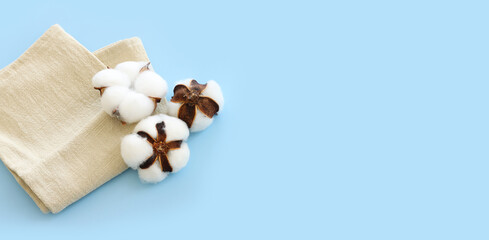 Creative image of beautiful cotton flowers over blue background.