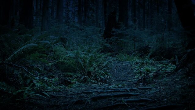 Dark Woodland Scary Fantasy Landscape