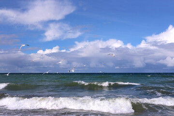 Seascape with storm sea waves with foam under heavy cumulonimbus on the sky till horizon and flying seagulls