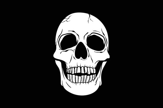 Skull Head vector