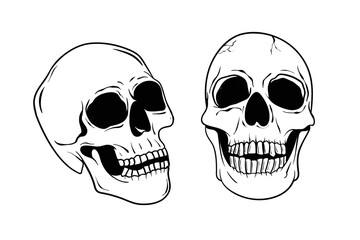 Skull Head vector