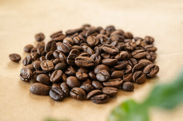 コスタリカ　ジャガーハニー