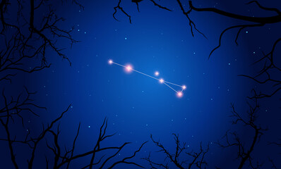 Vector illustration Sagitta constellation. Tree branches, dark blue starry sky