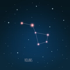Fototapeta na wymiar Constellation scheme in starry sky. Open space. Vector illustration Volans constellation through a telescope