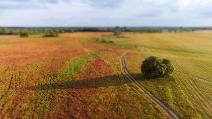 Wide photo with stunning view with bokeh on the background and the countyside road at the center of a frame	