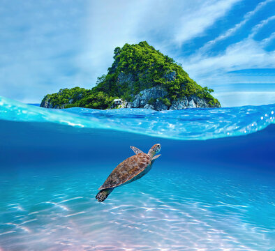 Cute Sea Turtle Swimming in front of a Tropical Paradise Island