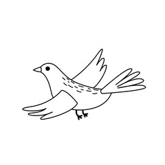 Flying bird. Coloring page. Black and white bird. Vector