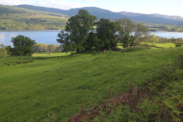 Loch Tay -  	Perth and Kinross - Scotland - UK