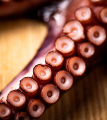 Octopus tentacles. Macro background. Octopus texture.