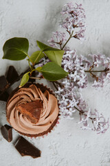 czekoladowe babeczki