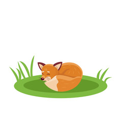 Cute red fox is sleeping. Vector illustration in a flat style.
Isolated on white background.
