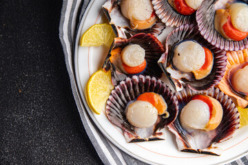 scallops in shell fresh seafood meal food snack on the table copy space food background rustic top view pescatarian diet