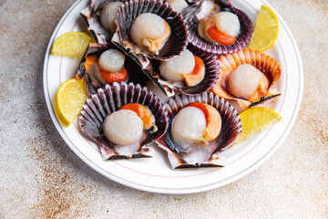 scallops in shell fresh seafood meal food snack on the table copy space food background rustic top view pescatarian diet