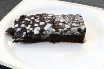 Moldy chocolate cake on a white background