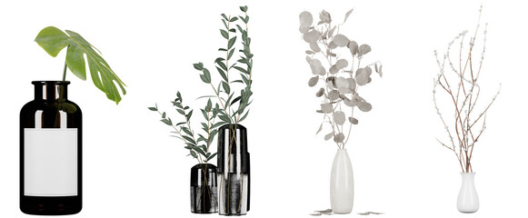decoration plants in vase isolated on transparent or white background - obrazy, fototapety, plakaty
