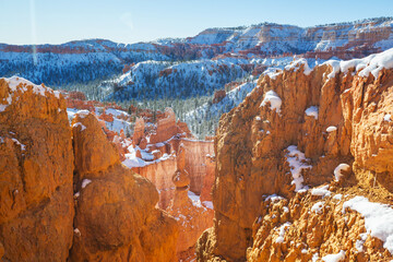 Winter Bryce