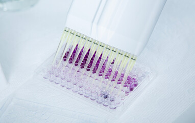 cell culture