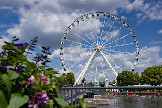 Grande roue de Montr&eacute;al, big wheel, Montreal. Summer, &Eacute;t&eacute;.