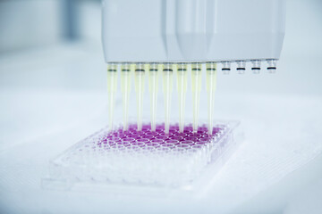 cell culture at the medicine, medical and cell culture laboratory