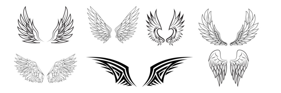 wings in black and white vector
