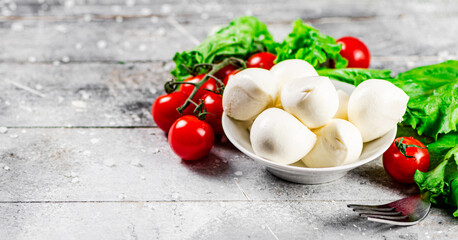 Mozzarella cheese with cherry tomatoes and herbs.