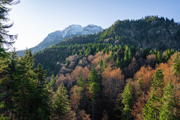 Fototapeta na wymiar Sauling Mountain peak at Ammergau Alps with beautiful vegetation - Schwangau, Bavaria, Germany