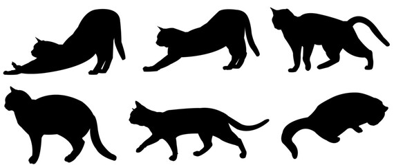 Multiple Cats Vector Set