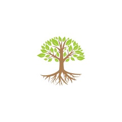 Obraz premium Tree icon concept. Tree root design illustration isolated on white background