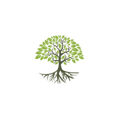 Obraz premium Tree icon concept. Tree root design illustration isolated on white background