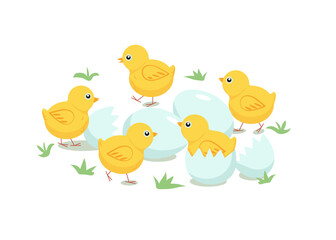 Set of chickens and eggs. Easter design.  Cartoon chick. Vector illustration, isolated objects.	